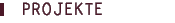 Projekte